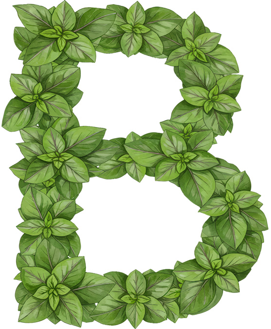 BASIL LETTERS