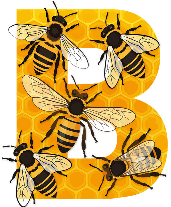 BEES LETTERS
