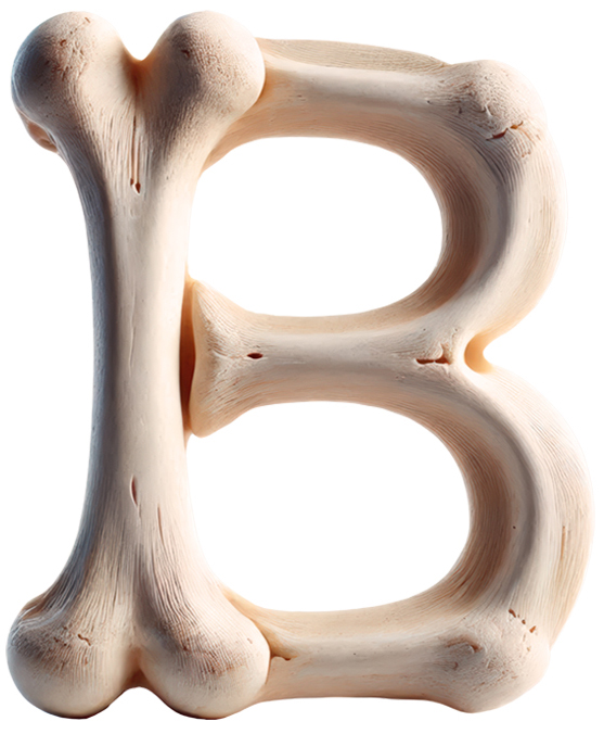 BONES LETTERS