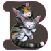Kittens letter B