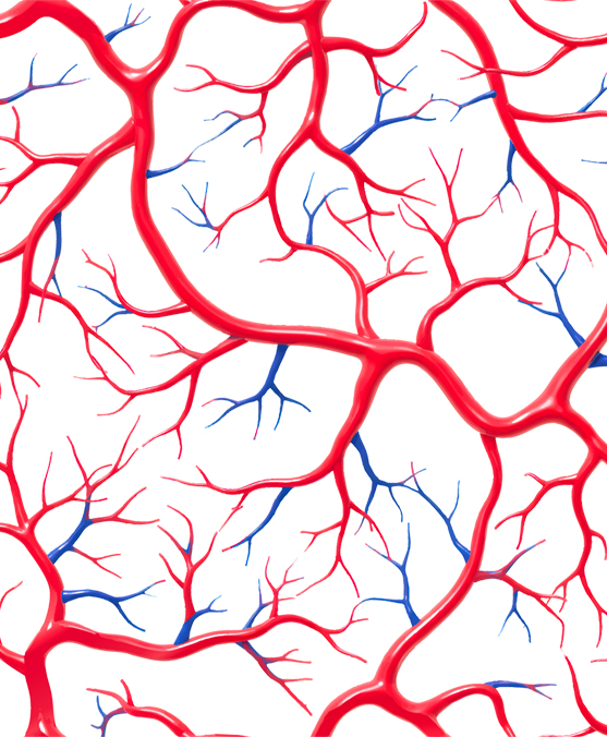BLOOD PATTERN 