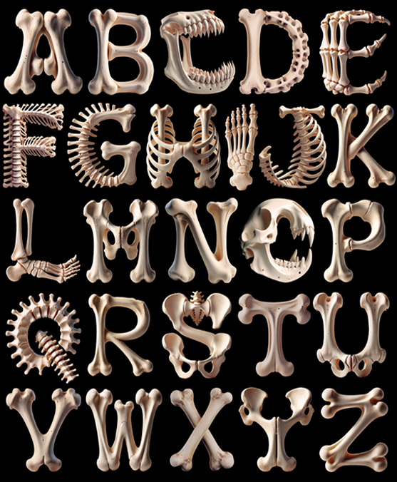 BONES PATTERN 