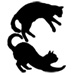 Blackcats type letter C