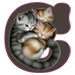 Kittens letter C