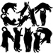 Blackcats Catnip