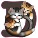 Kittens letter D