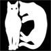 Whitecats type letter D
