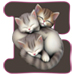 Kittens letter E