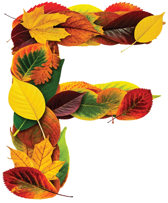 FALL LETTERS