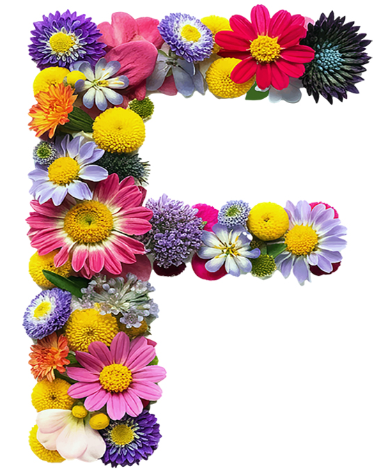 FLOWERS LETTERS