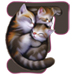 Kittens letter F