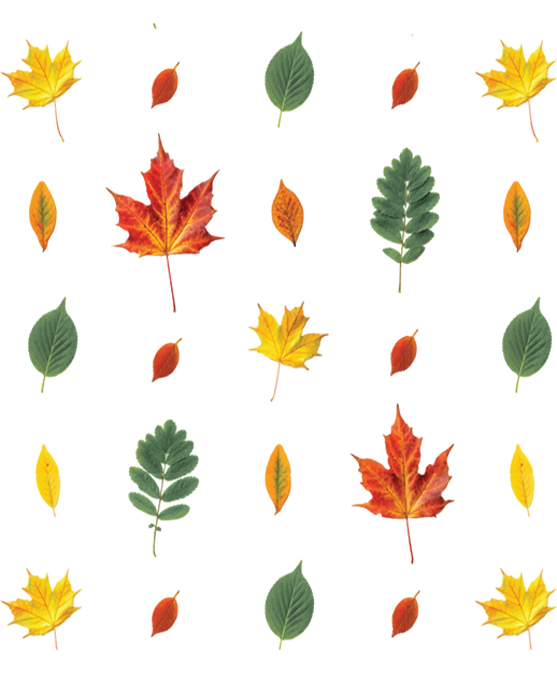 FALL PATTERN 