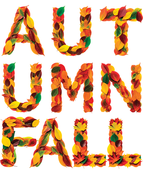 FALL WORDS 