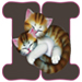 Kittens letter H