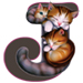 Kittens letter J