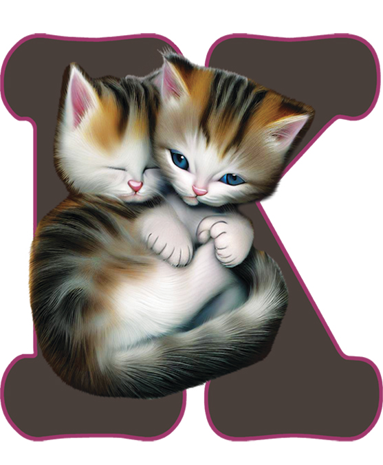 KITTENS LETTERS