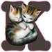 Kittens letter K