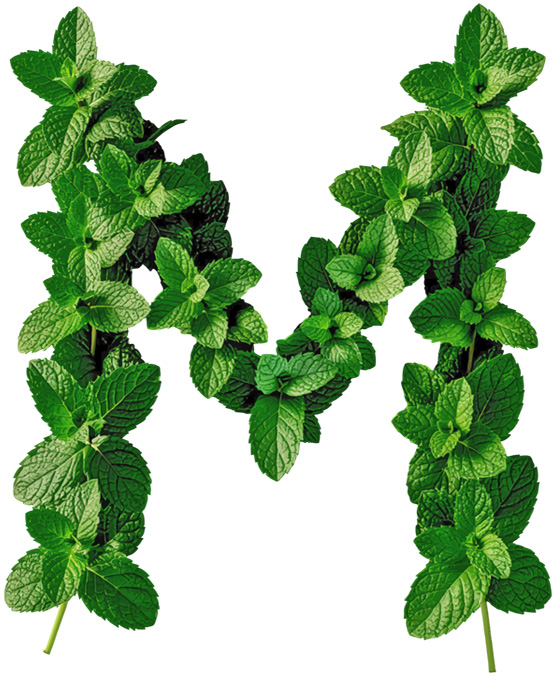 MINT LETTERS