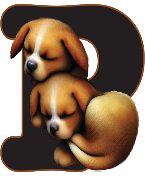 PUPPIES LETTERS 