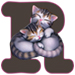 Kittens letter R