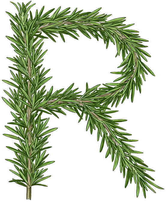 ROSEMARY LETTERS 
