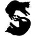Blackcats type letter S