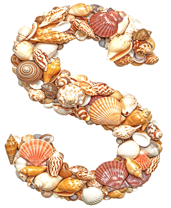 SHELLS LETTERS 
