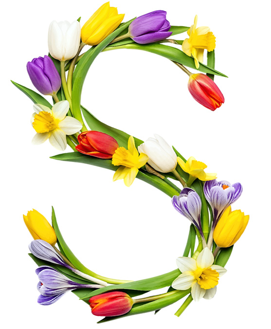 SPRING FLOWERS LETTERS 