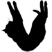 Blackcats type letter V