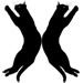 Blackcats type letter X