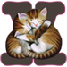 Kittens letter X