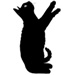 Blackcats type letter Y