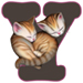Kittens letter Y