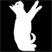 Whitecats type letter Y