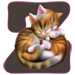 Kittens letter Z
